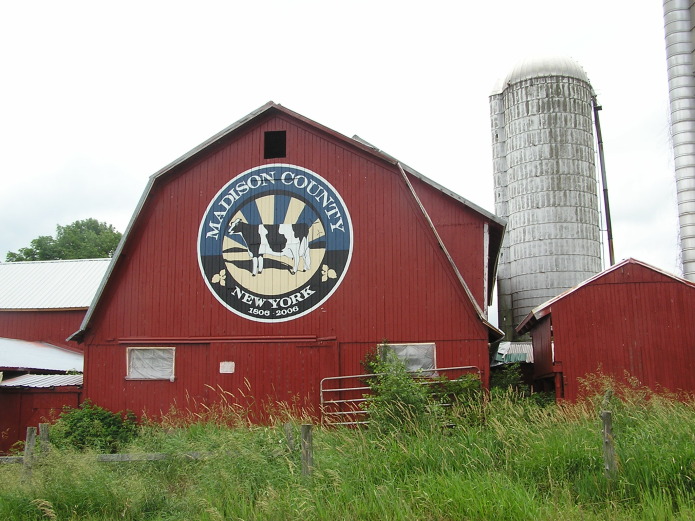 Madison barn red cow